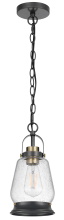 CAL Lighting FX-3824-1 - 12.87 In. Height Black Metal Pendant with Clear
